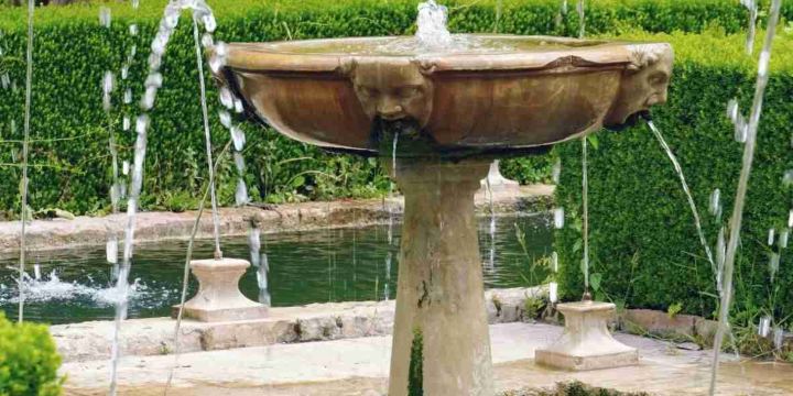 جنة العريف