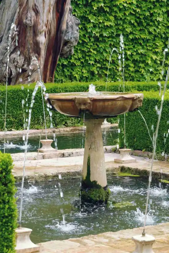 Hotels near جنة العريف