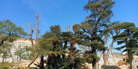 永鴻植物園