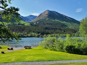 Alaska Cruise Transportation - ACT Big Bus