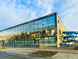 Miejskie Centrum Sportu