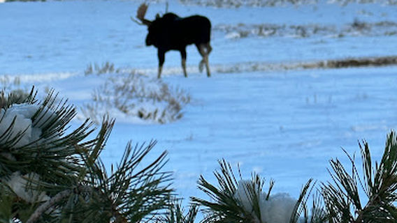 Elk Mountain Outfitters