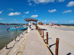 Holbox Fantastico Tours