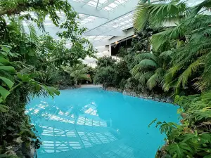Parc aquatique Aqua Mundo Center Parcs Les Hauts de Bruyères