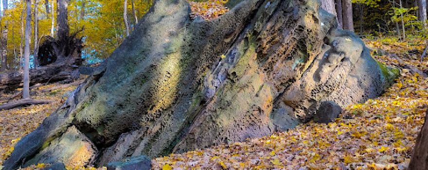 Shallenberger State Nature Preserve