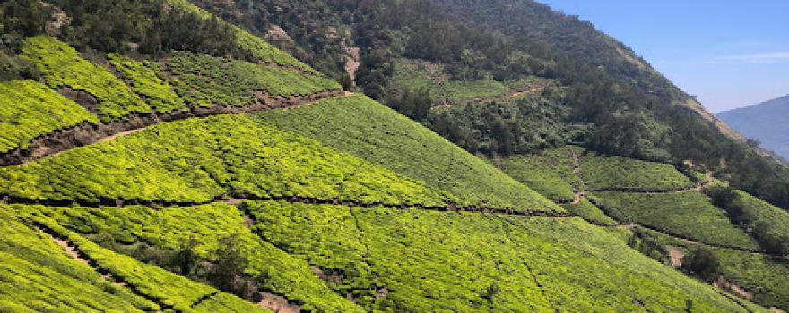 Kolukkumalai Sunrise View Basecamp & Tent Stay