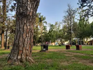 Guyon Park