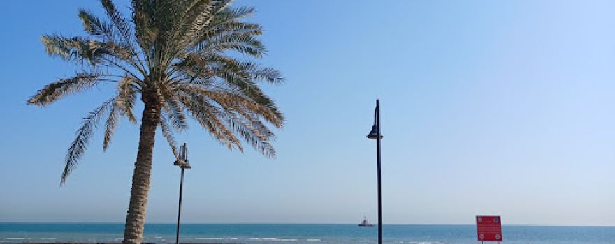 Fintas Park