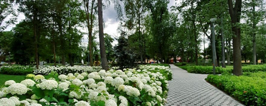 Park Miejski