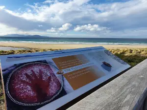 Marion Bay Viewing Platform