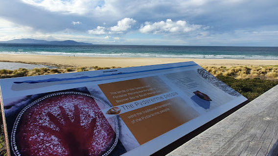 Marion Bay Viewing Platform