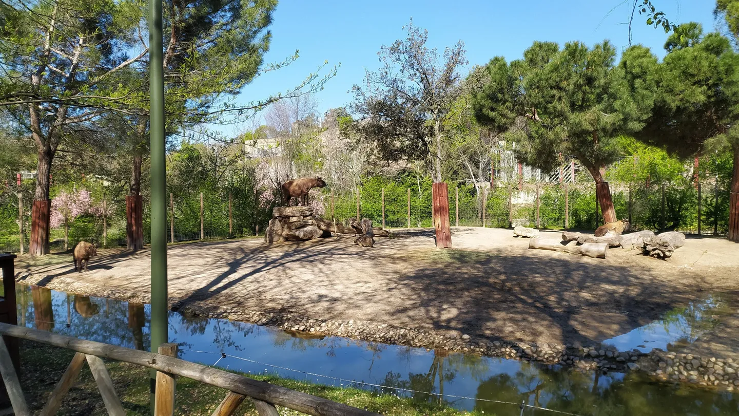 4_Zoo Aquarium de Madrid