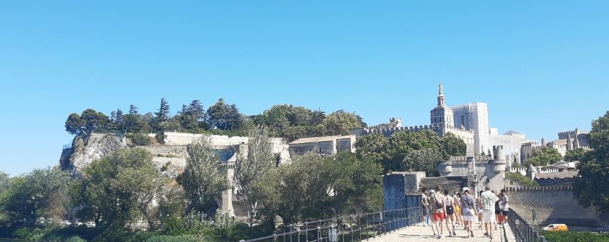 The Avignon Bridge