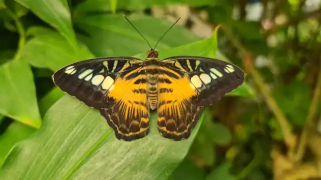 Hotels near Naturospace