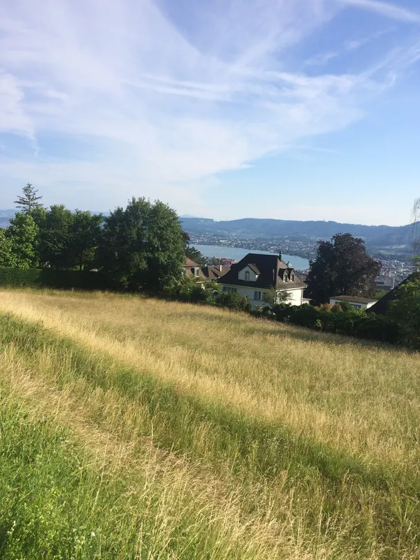 5_Seilbahn Rigiblick