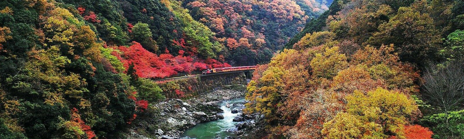 travel