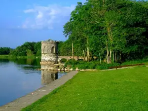 Lough Key Forest and Activity Park