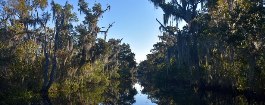 Airboat Adventures