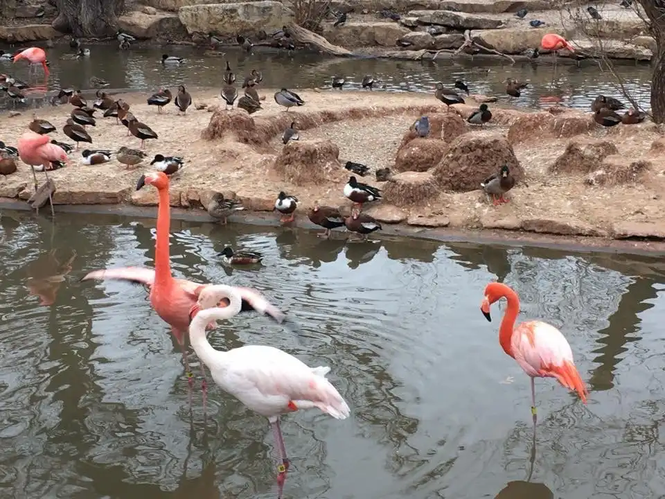 Các khách sạn gần Abilene Zoo