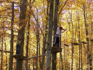 Cerwood Adventure Park