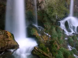Rifle Falls State Park