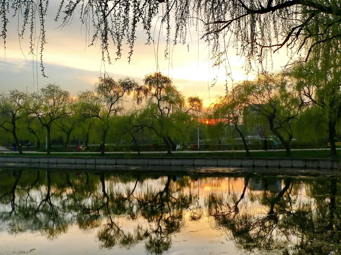 Hotels near Morarilor Park