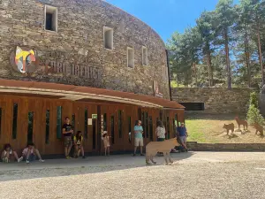 iberico Wolf Center