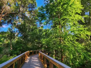 Sawgrass Lake Park