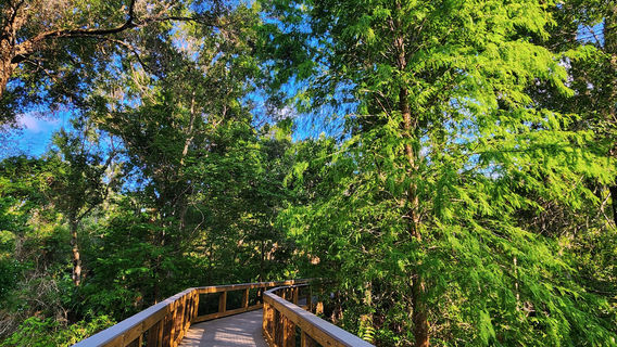 Sawgrass Lake Park