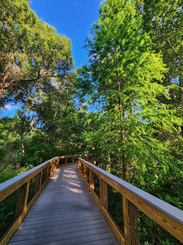 1_Sawgrass Lake Park
