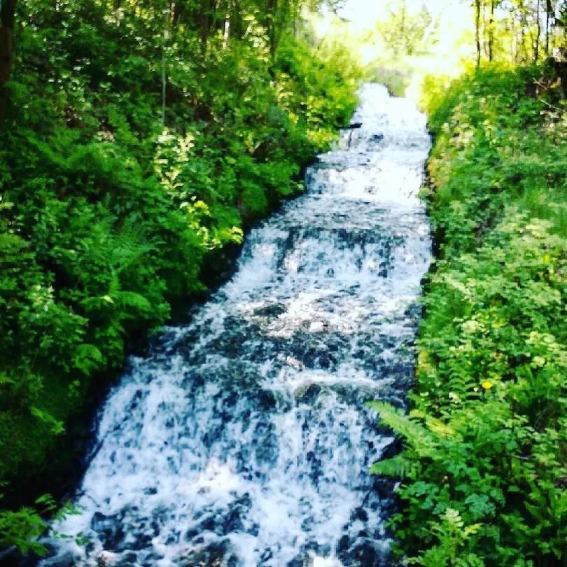 1_Dare Valley Country Park