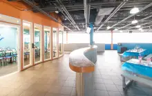 Sky Zone Trampoline Park