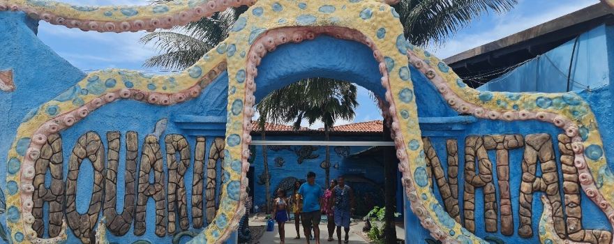 Aquario Natal