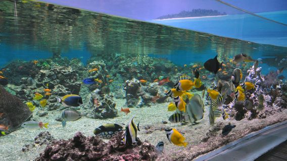 Planet Ocean Montpellier