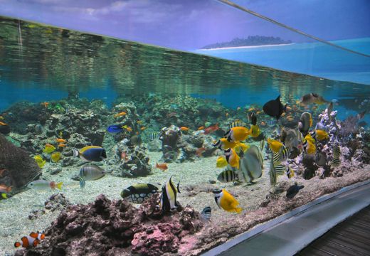 Planet Ocean Montpellier