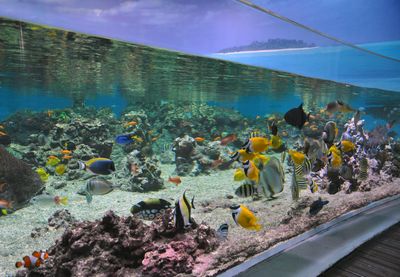 Planet Ocean Montpellier