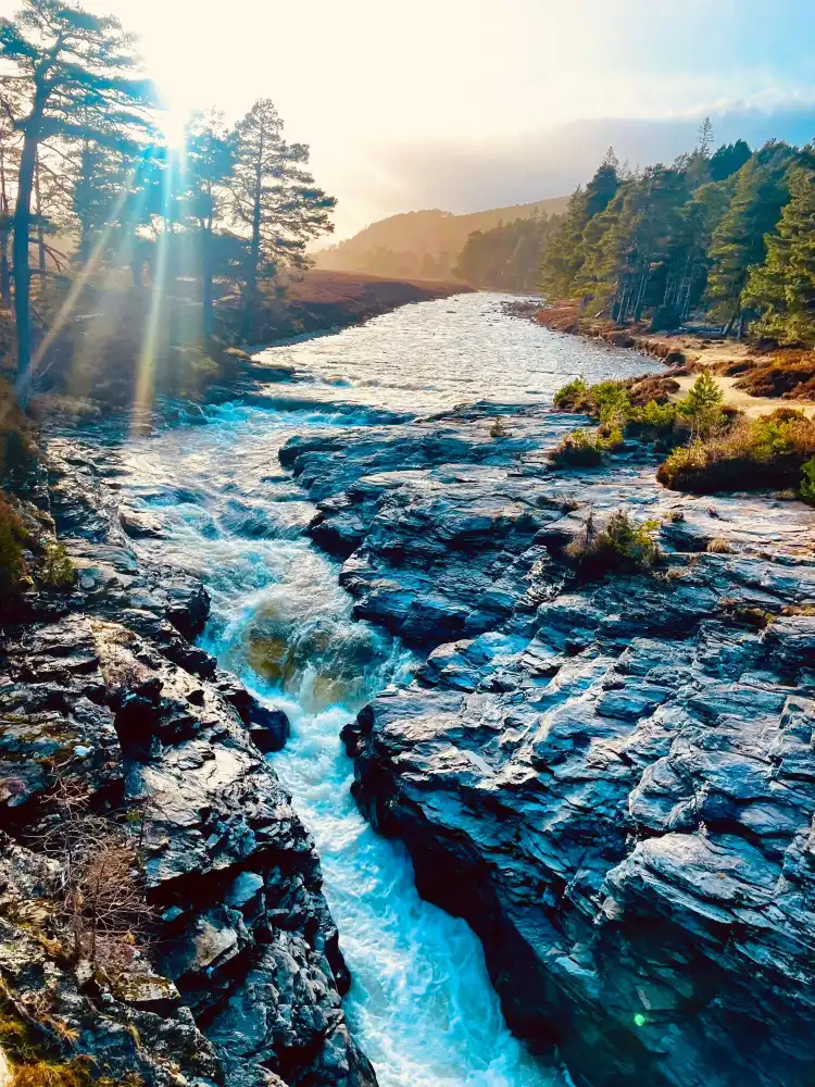 Hotels in Braemar