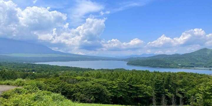 Panoramic Viewing Platform
