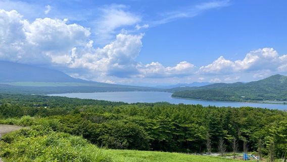 Panoramic Viewing Platform