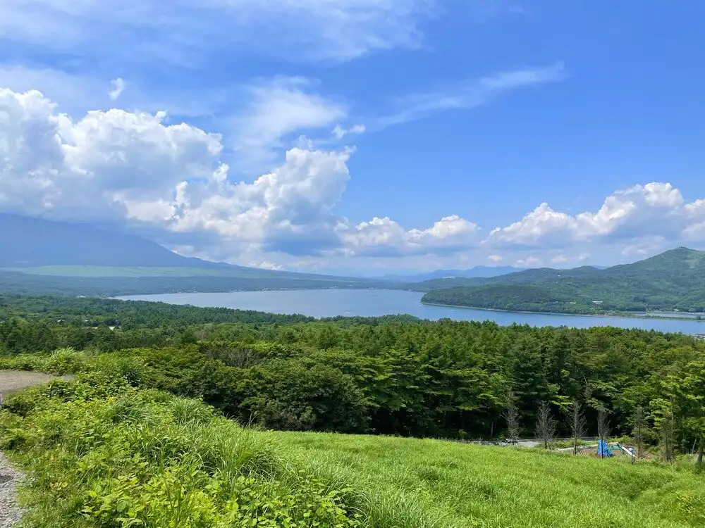 Hotels near Panoramic Viewing Platform