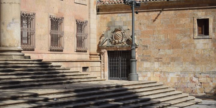 Colegio de Anaya (Palacio de Anaya)