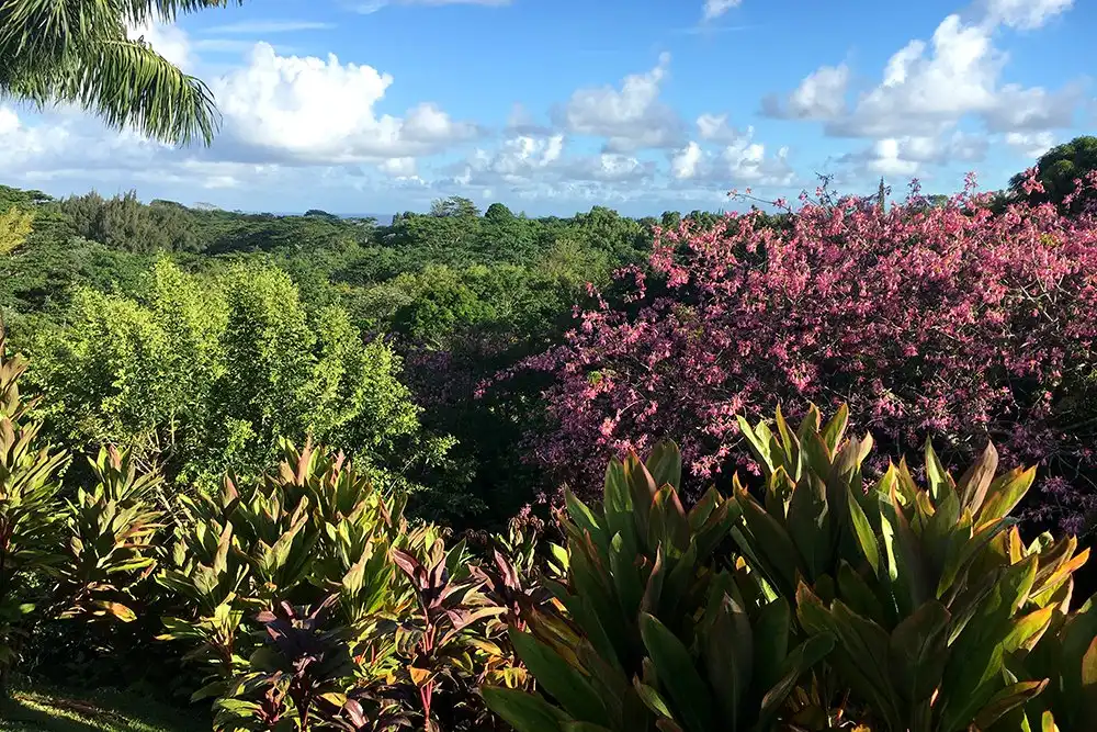 Hotels near Princeville Botanical Gardens