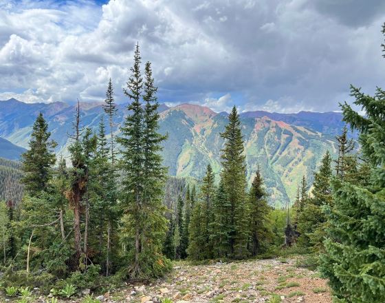 阿斯彭 自由行套票