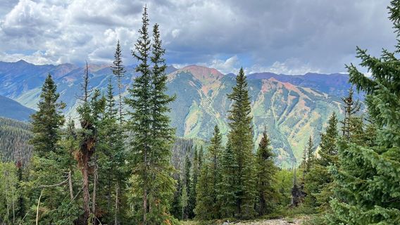 Silver Queen Gondola