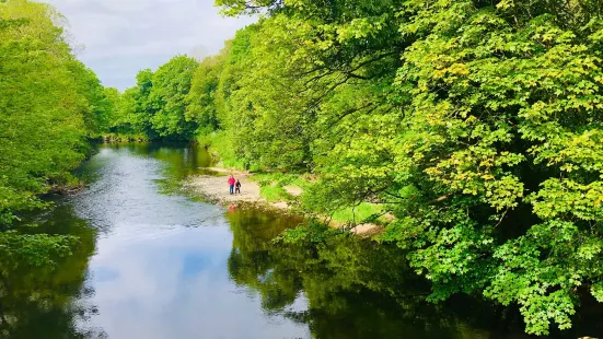 Roe Valley Country Park