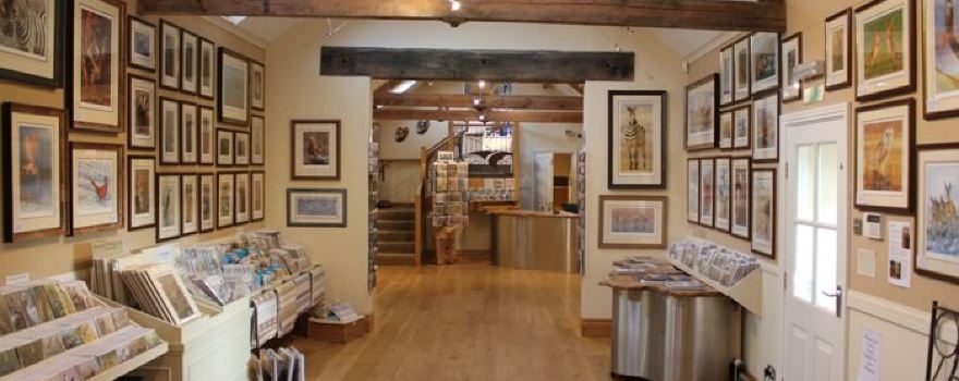 The Robert Fuller Gallery Ltd