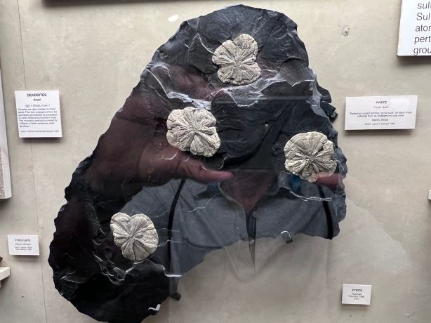 Geology Museum