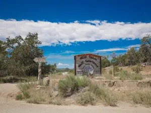 Wild Spirit Wolf Sanctuary
