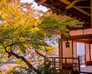 香港-大洲市 機票酒店 自由行