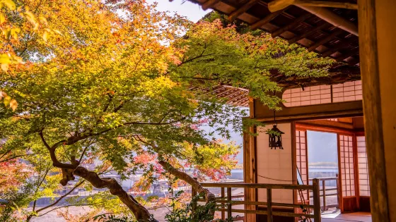 臥龍山莊